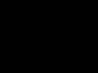 Elzadzyn23